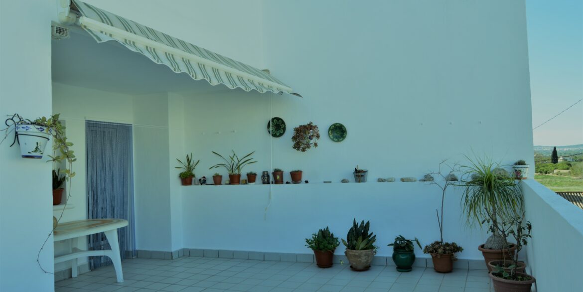 1742_magnificent_residence_in_the_heart_of_los_montesinos_191218102708_dsc_0243