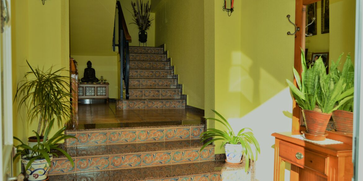 1742_magnificent_residence_in_the_heart_of_los_montesinos_191218104849_dsc_0208