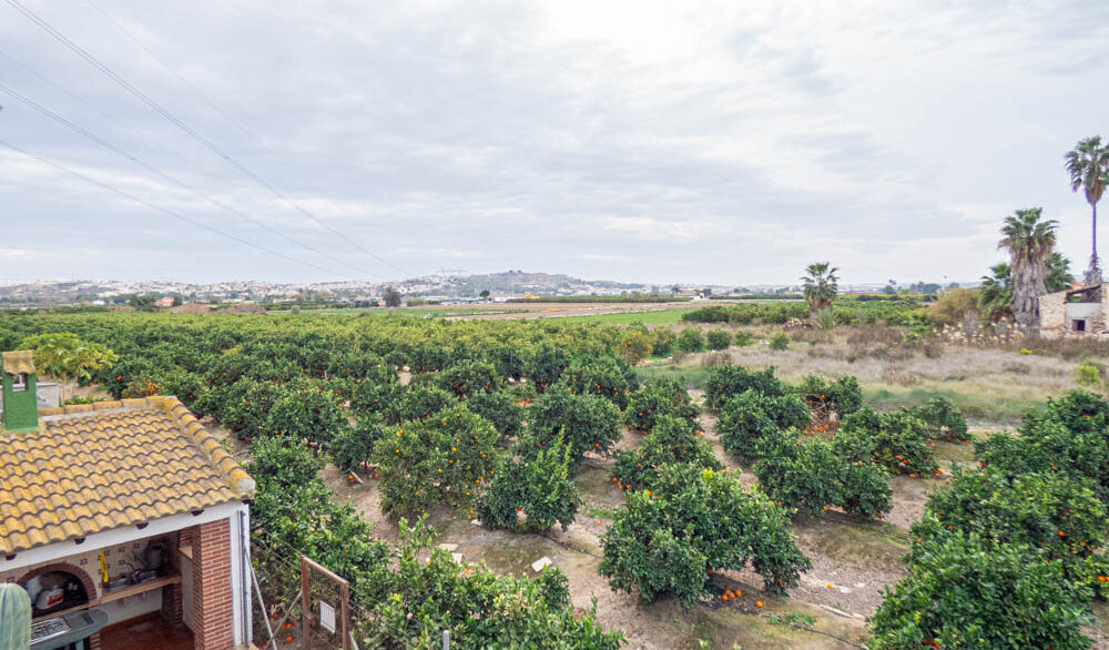 8405_country_finca_with_orange_groves_in_rojales_201224154713_p1220521