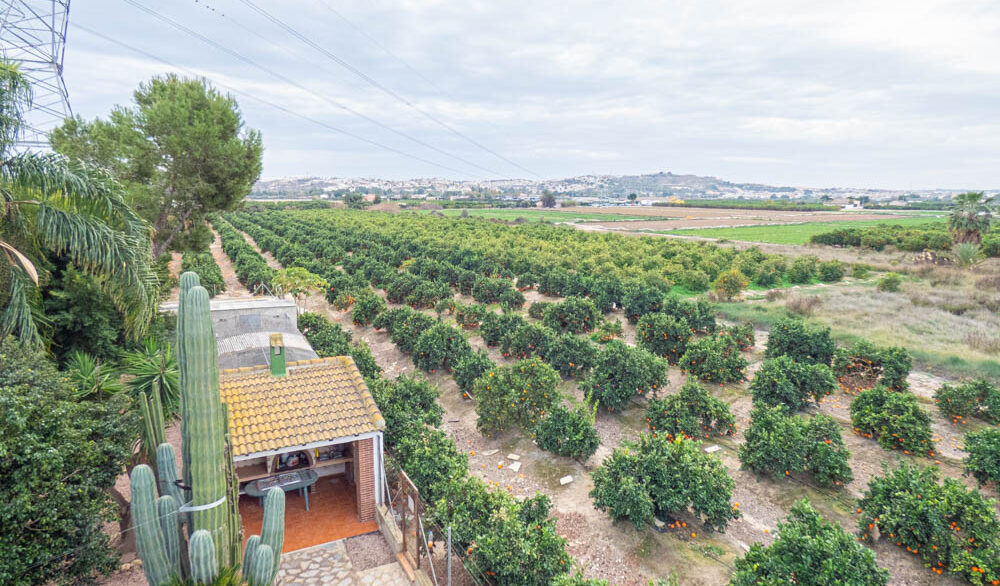 8405_country_finca_with_orange_groves_in_rojales_201224154713_p1220525