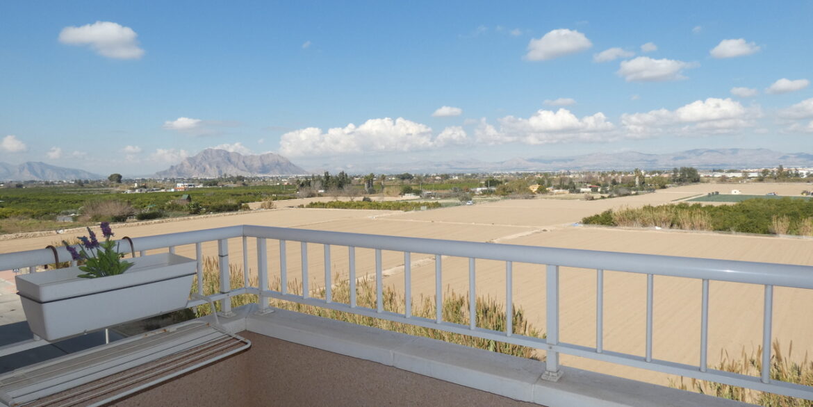 153745-apartment-for-sale-in-algorfa-29570432-large