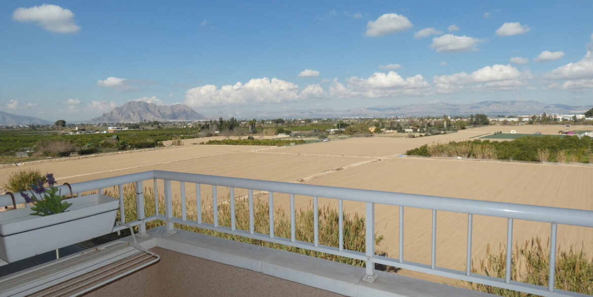 153745-apartment-for-sale-in-algorfa-29570433-large