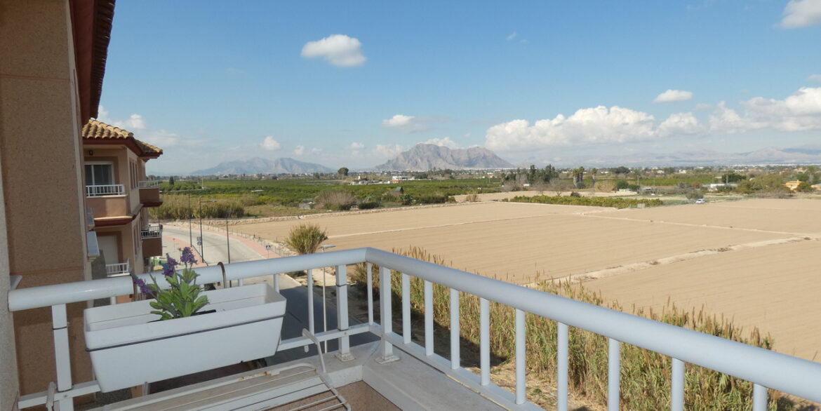 153745-apartment-for-sale-in-algorfa-29570434-large