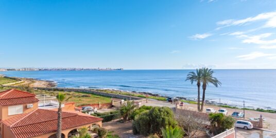 1 Bed, 1 Bath Apartment in Punta Prima Orihuela Costa