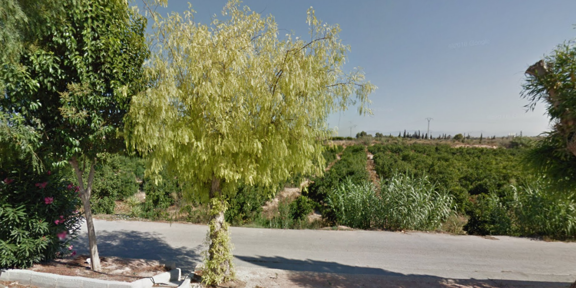 Montebello Algorfa View