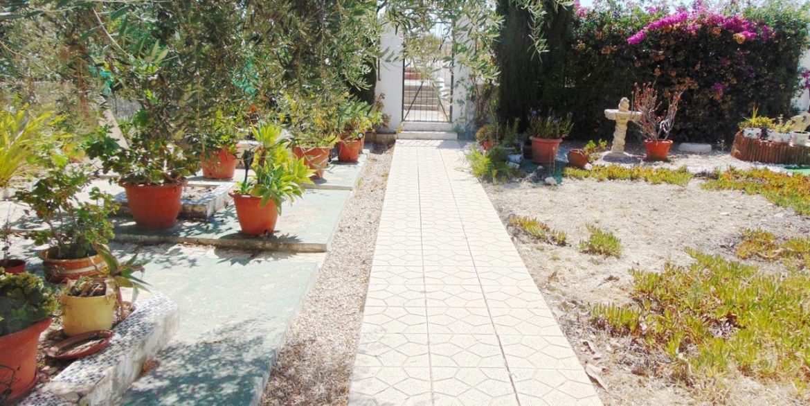 Garden (2)