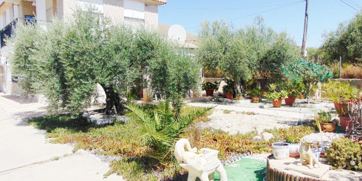 Garden (3)