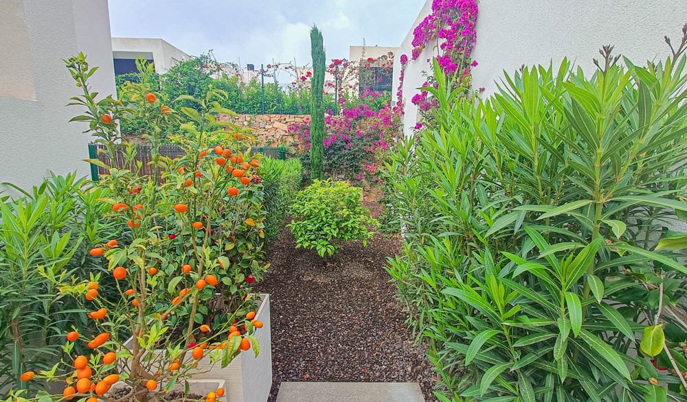 10372_stunning_modern_villa_on_la_finca_150425143056_garden_4