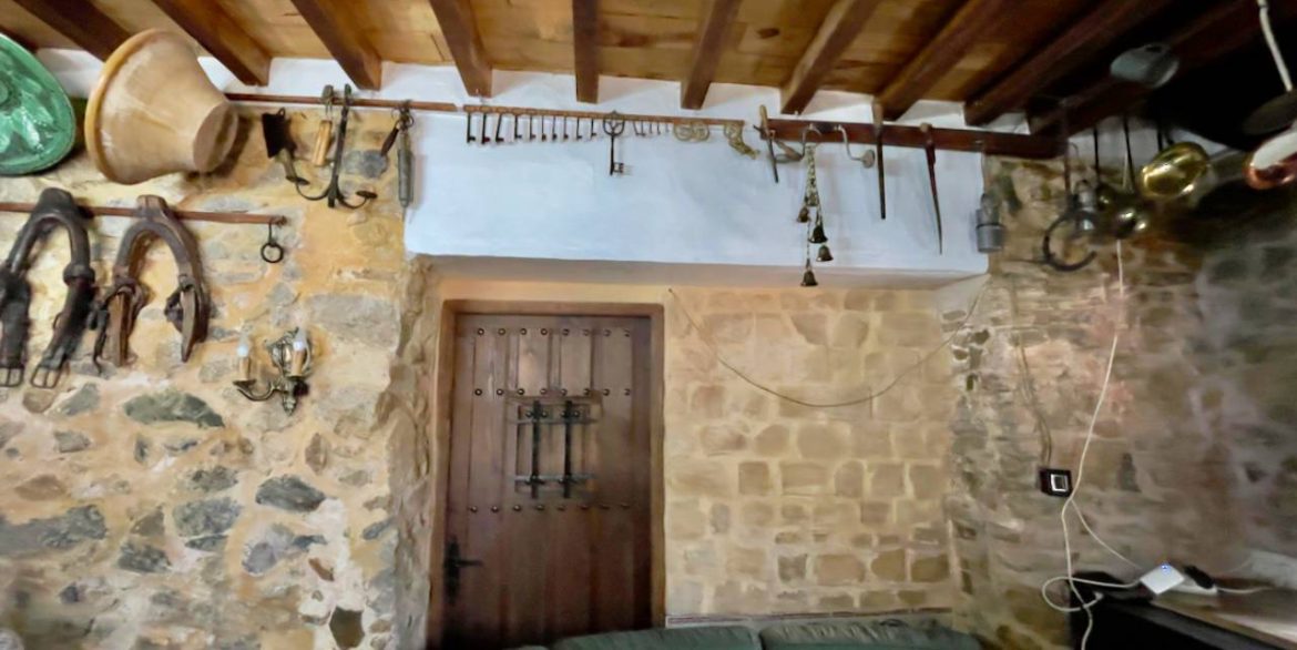 11754734_xl