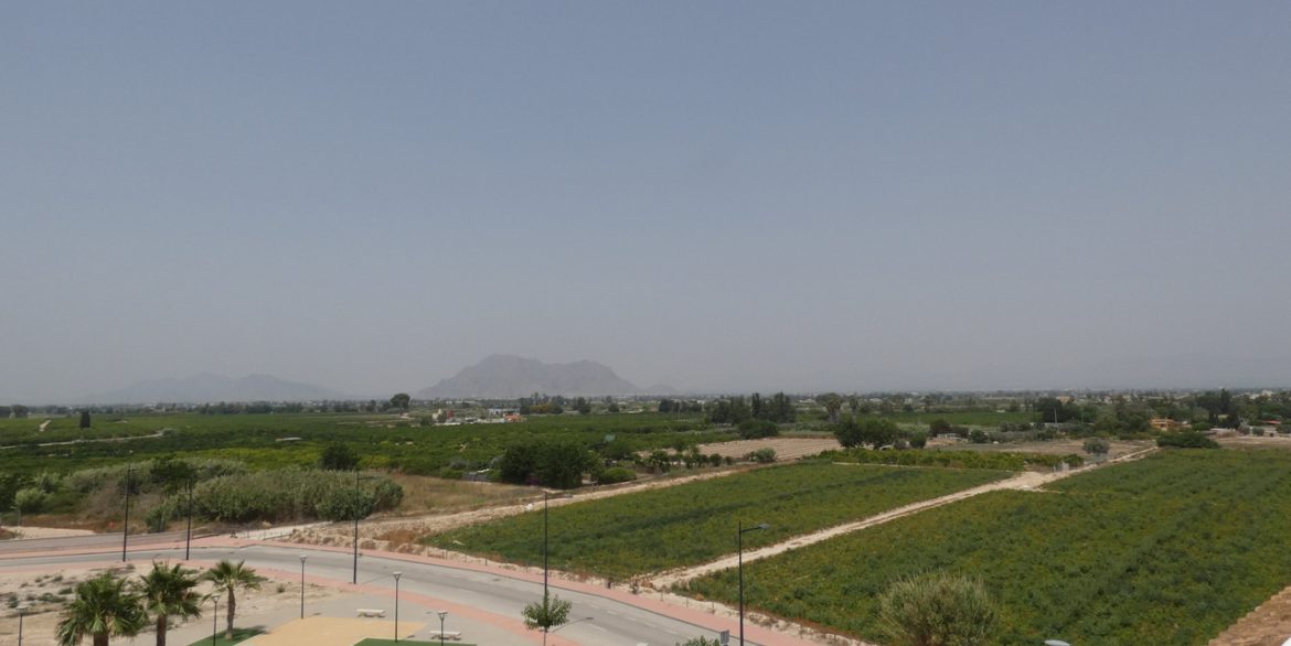 156033-apartment-for-sale-in-algorfa-30177427-large