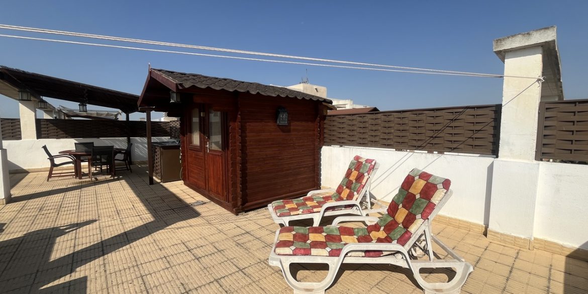 157567-apartment-for-sale-in-algorfa-30417563-large