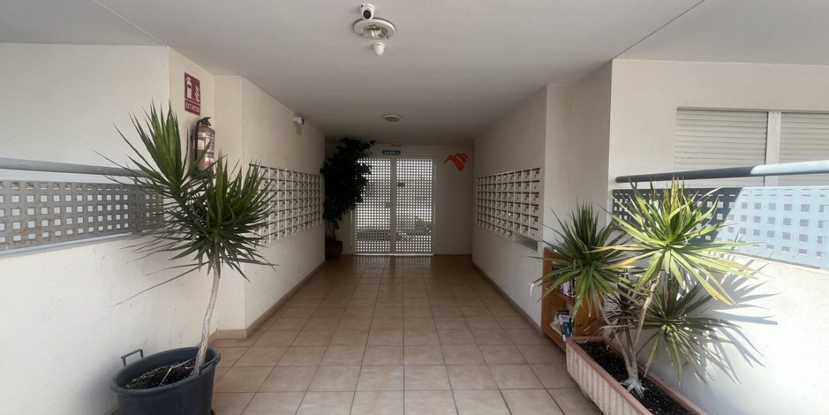 157567-apartment-for-sale-in-algorfa-30417605-large