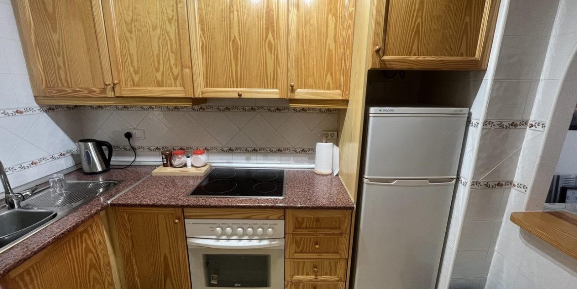 157664-apartment-for-sale-in-algorfa-30473482-large
