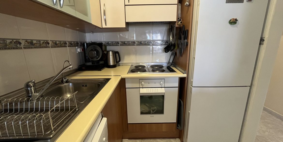 157779-apartment-for-sale-in-algorfa-30505683-large