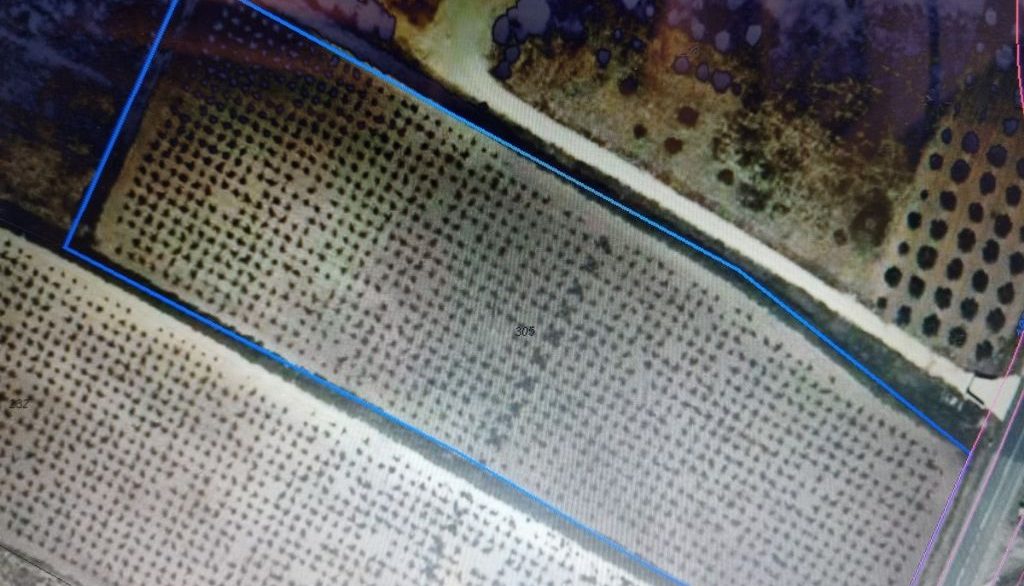 1_21407762021