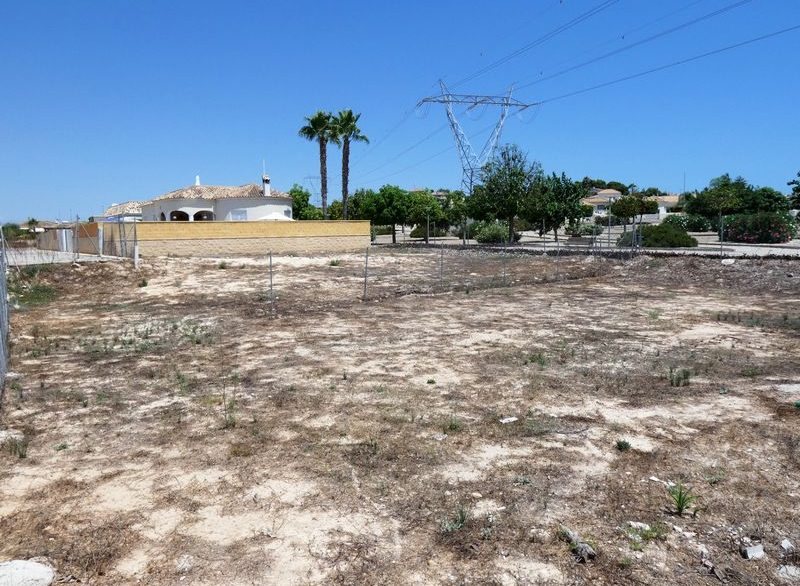 4909_amazing_corner_plot_for_sale_020822131109_tn_p1110351_2