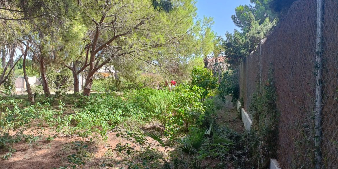 6384_plot_of_land_for_sale_in_a_stunning_location_190923114804_65c22df6_da34_418d_b842_5fc0c01a6607