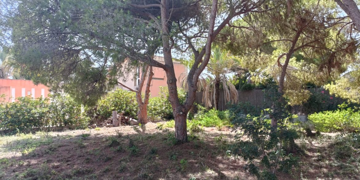 6384_plot_of_land_for_sale_in_a_stunning_location_190923114806_172898a0_fd15_4c49_b270_964e61e1867e