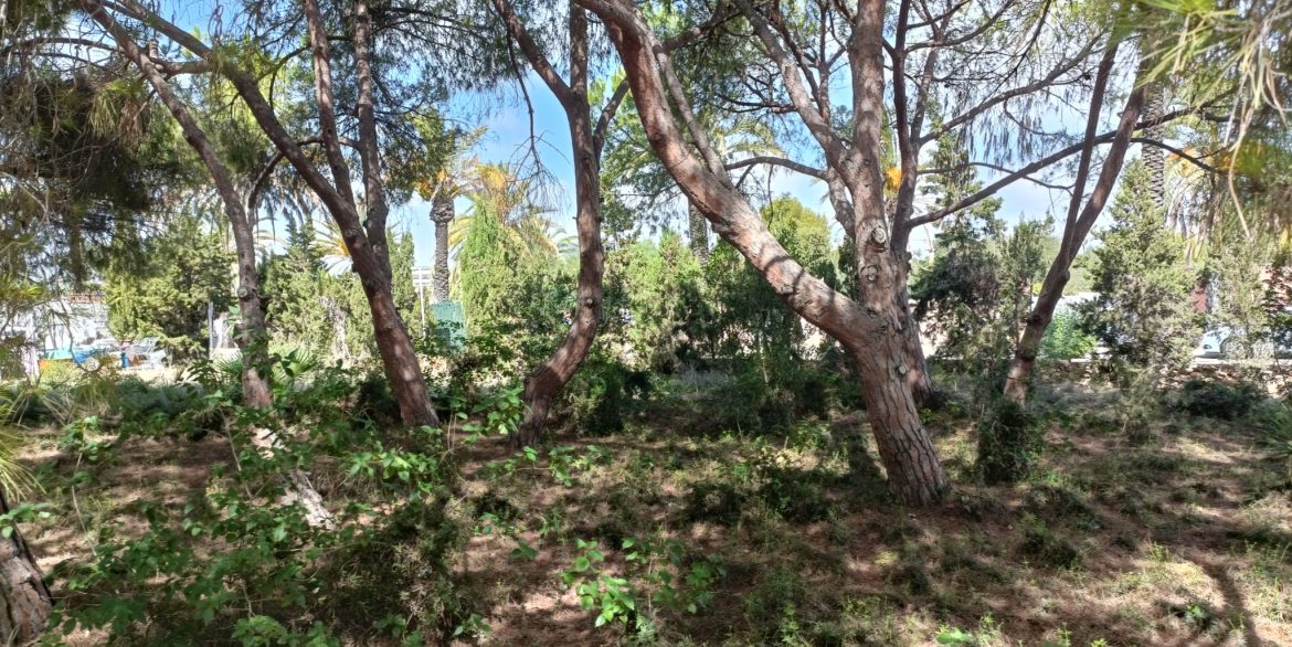 6384_plot_of_land_for_sale_in_a_stunning_location_190923114807_2a8883f6_5673_446f_bcbb_1e4cbd77e7a7