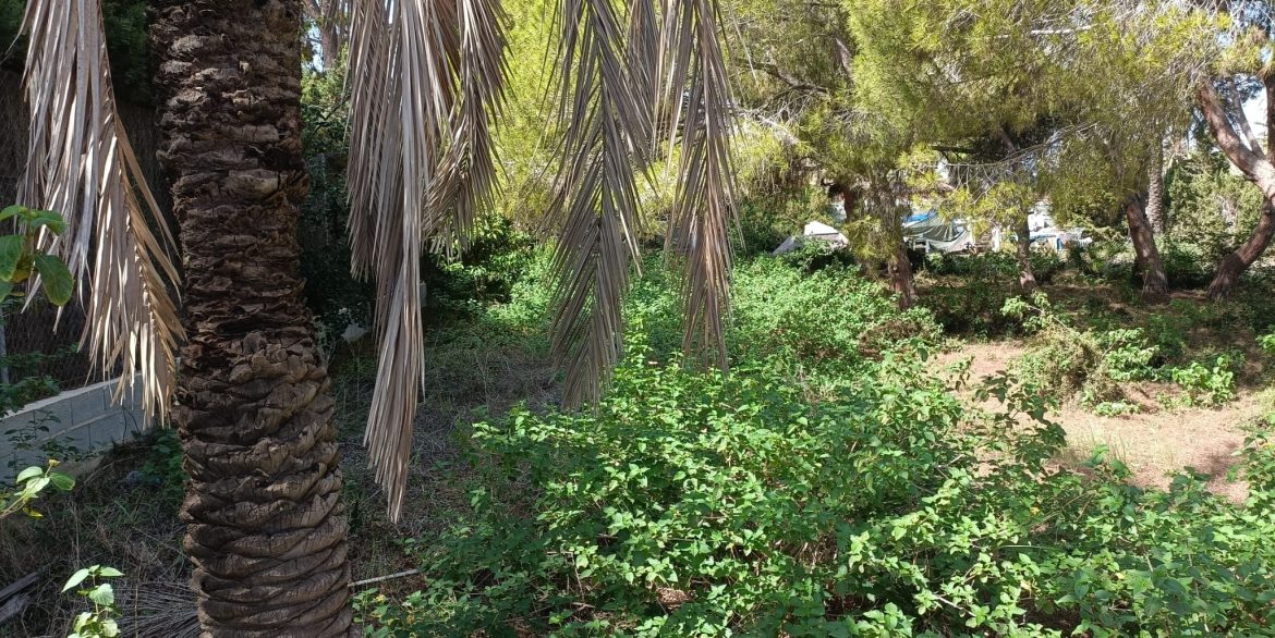 6384_plot_of_land_for_sale_in_a_stunning_location_190923114807_2af76a1c_56e5_4037_8570_0d1af3e4072b