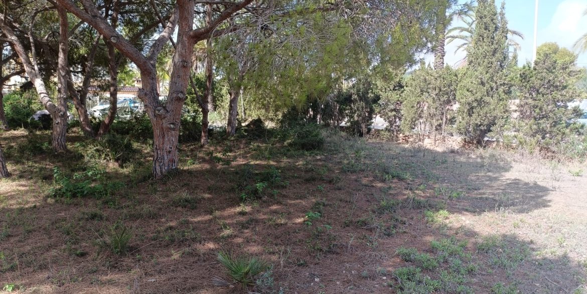 6384_plot_of_land_for_sale_in_a_stunning_location_190923114807_a3fc9390_c8c1_4be2_b70e_093c79822ede