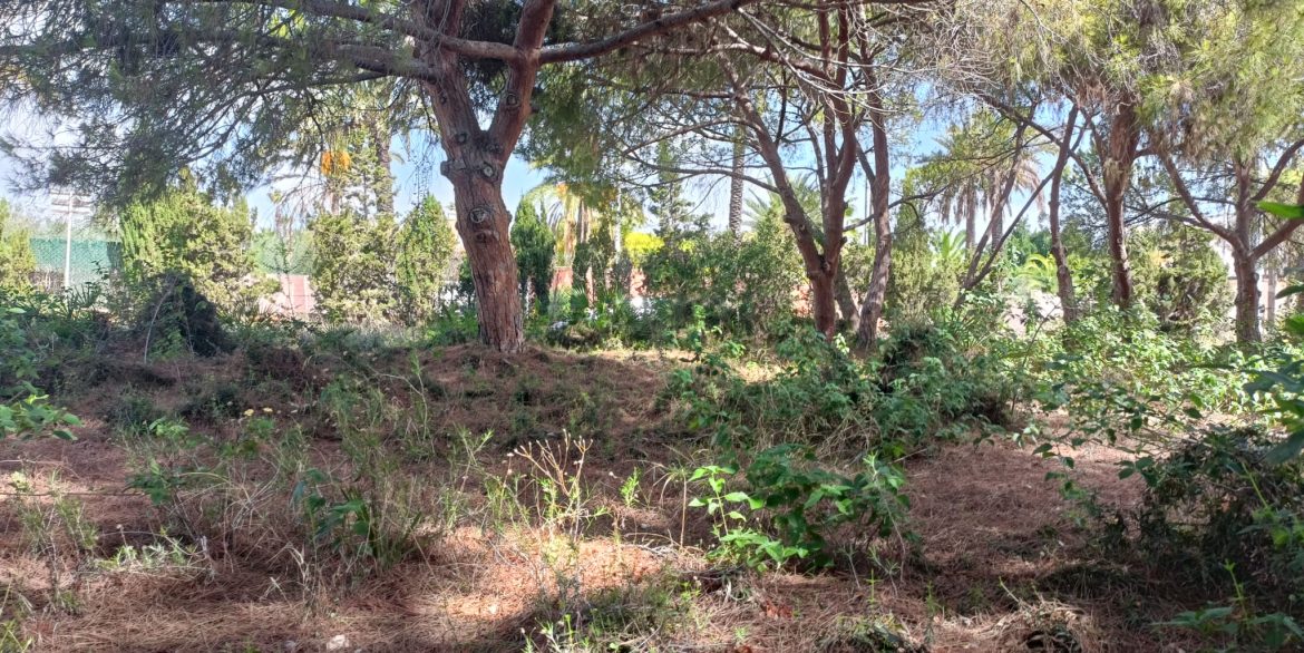 6384_plot_of_land_for_sale_in_a_stunning_location_190923114807_eb5fb57c_70af_4d32_b8d1_1eb1aaa14487
