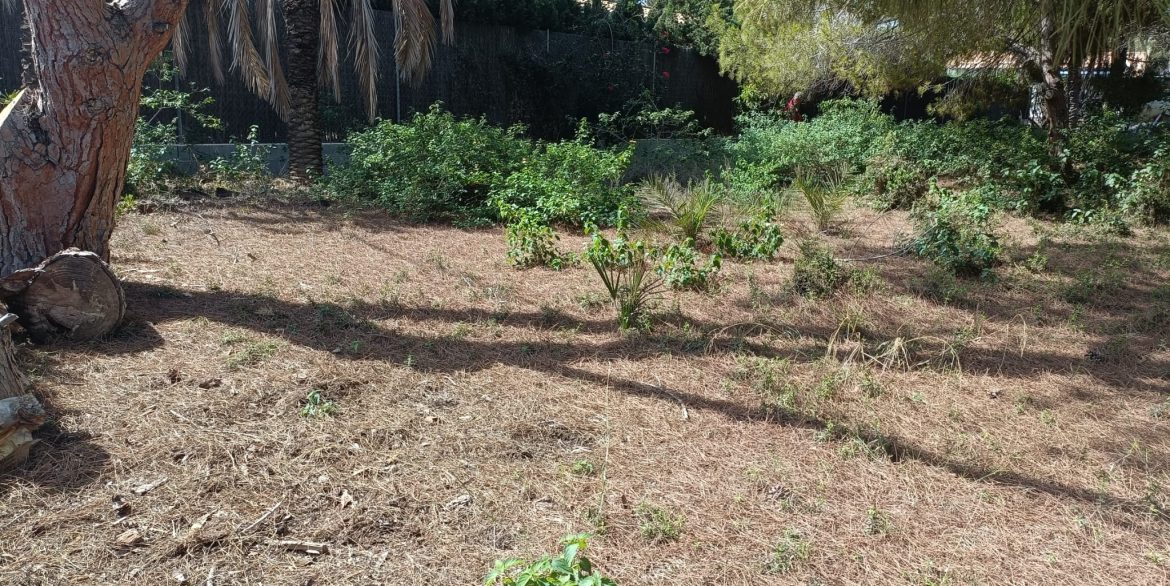 6384_plot_of_land_for_sale_in_a_stunning_location_190923114808_14259687_ad9f_4a85_8e4c_a5c76151c2ce