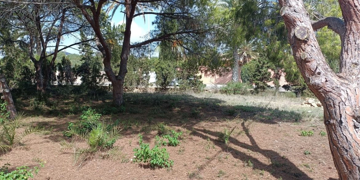6384_plot_of_land_for_sale_in_a_stunning_location_190923114808_b830157a_34d9_4824_a1a4_11be6e5839f1