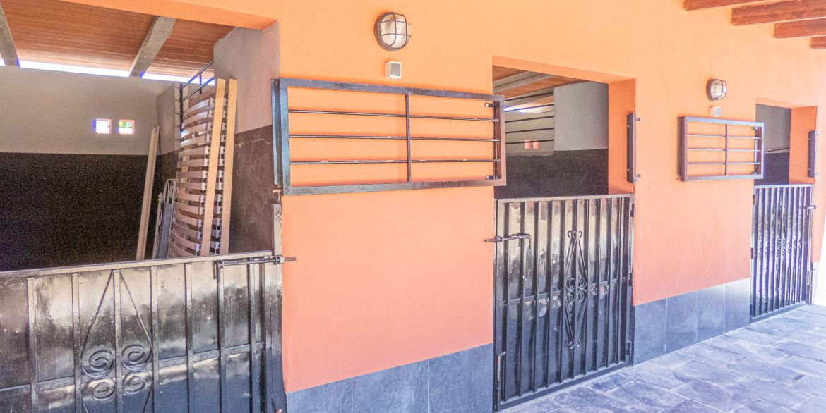 7667_countryside_villa_with_stables_240624145411_p1190719
