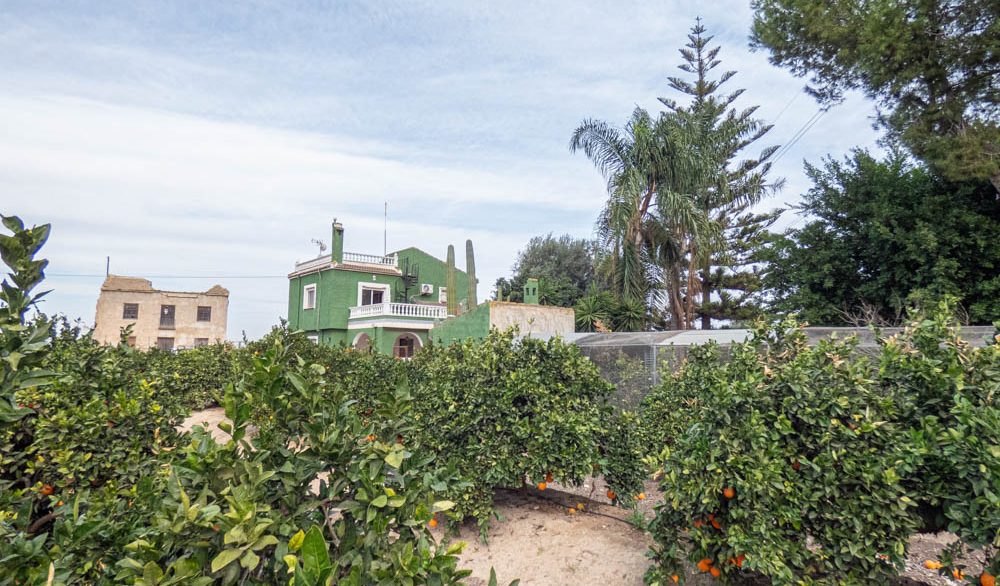 8405_country_finca_with_orange_groves_in_rojales_201224154713_p1220507