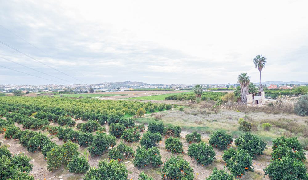 8405_country_finca_with_orange_groves_in_rojales_201224154713_p1220526