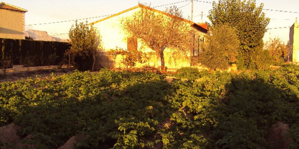 DSC06285-Copiar