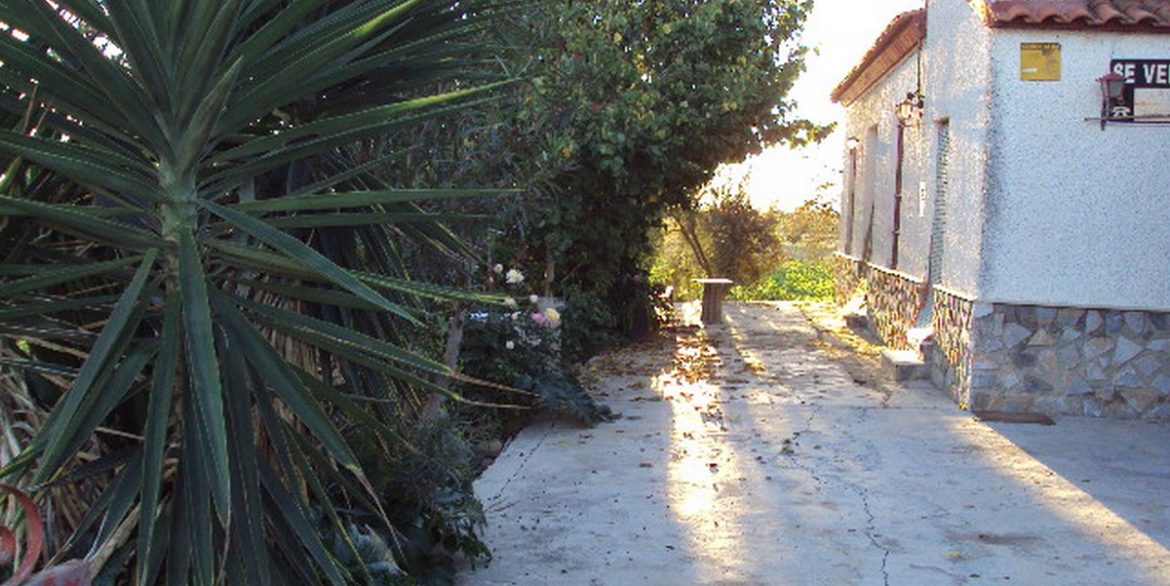 DSC06287-Copiar