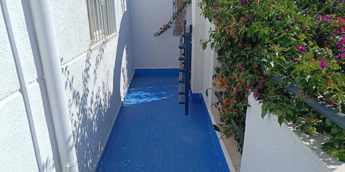 town-house-torrevieja-nwd6033-33