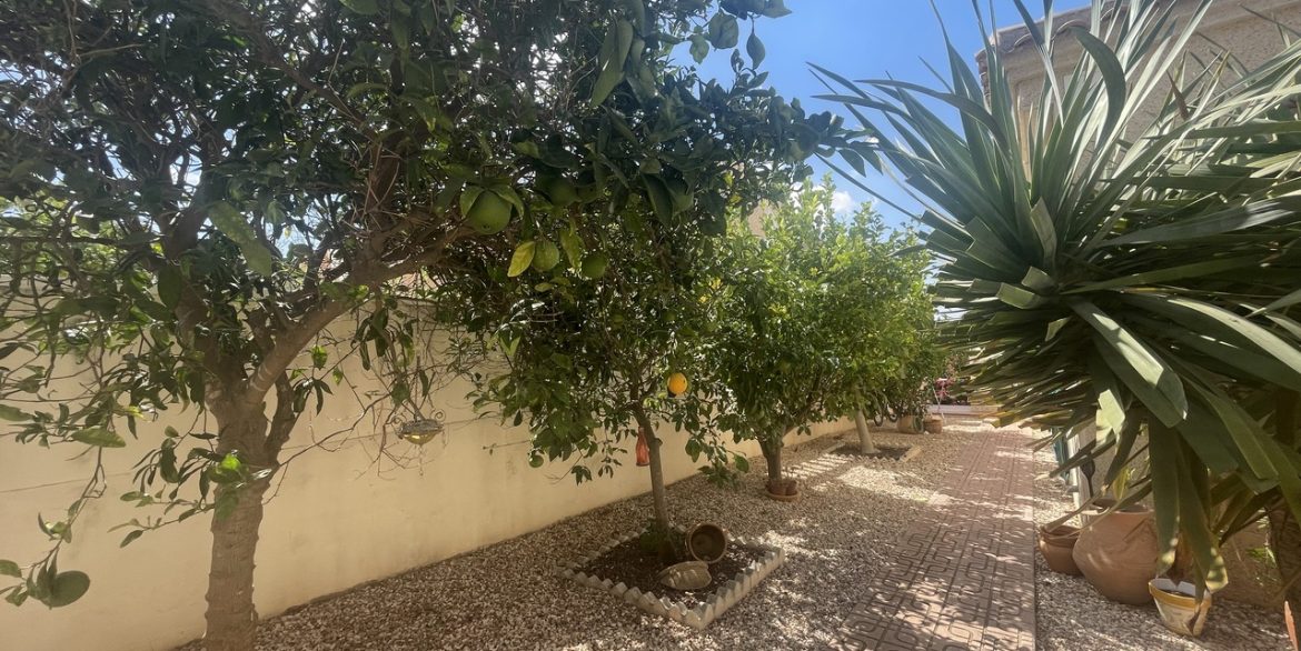 157948-villa-for-sale-in-algorfa-30548033-large