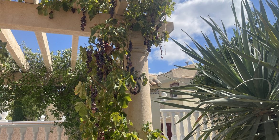 157948-villa-for-sale-in-algorfa-30548038-large