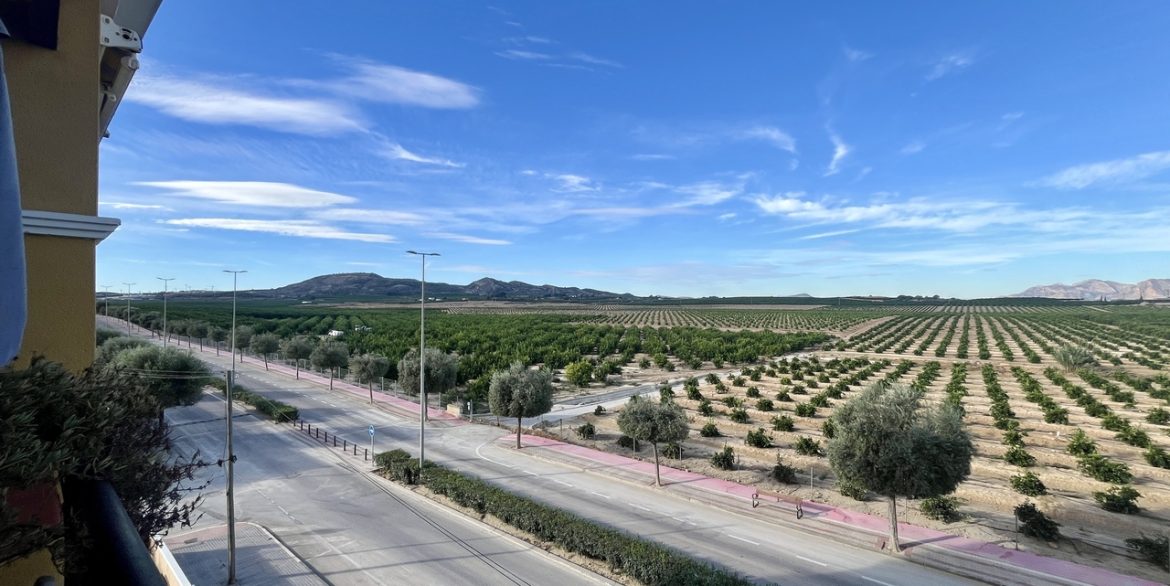 158223-apartment-for-sale-in-algorfa-30645608-large