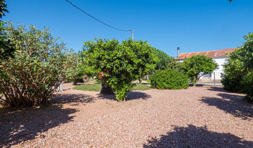 8361_stunning_villa_in_rafal_051224124548_p1200891