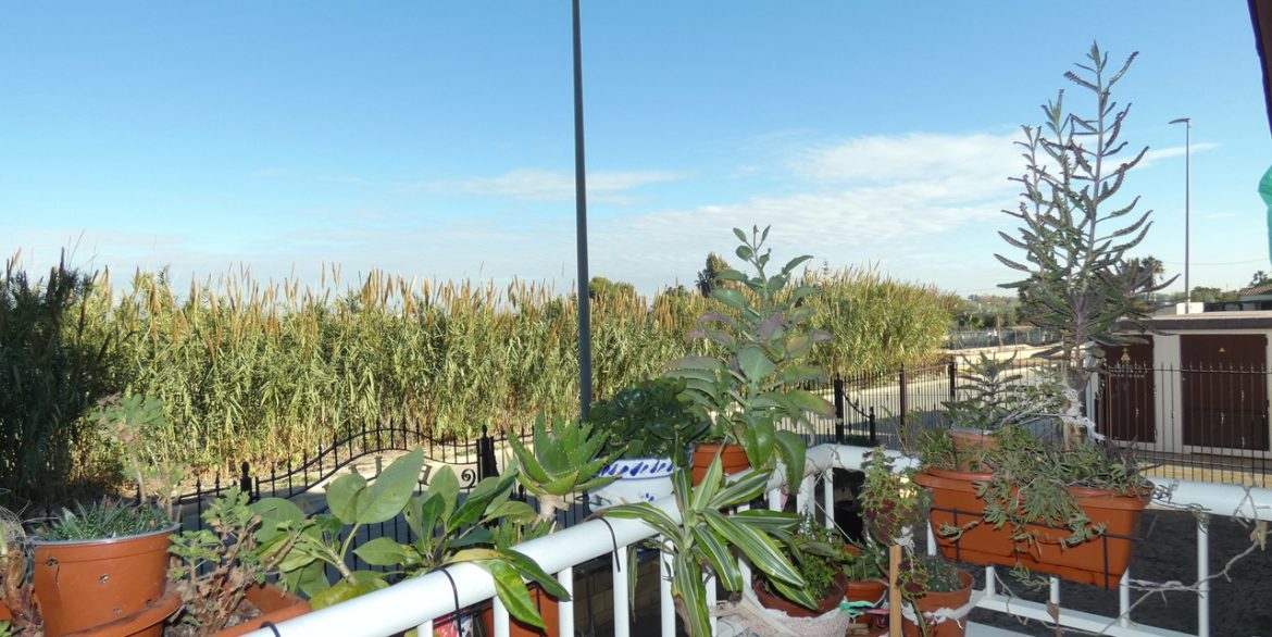 153395-apartment-for-sale-in-algorfa-29361952-large