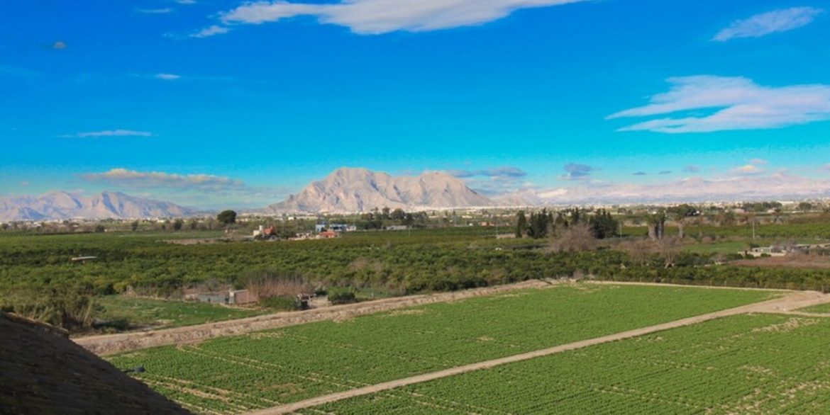 153395-apartment-for-sale-in-algorfa-29984975-large