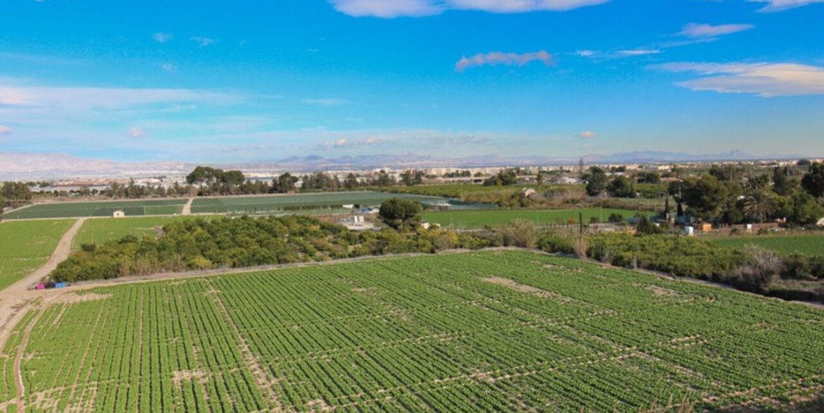 153395-apartment-for-sale-in-algorfa-29984976-large