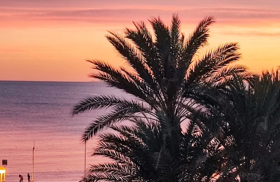 o_1jafvi15p1pha10lj1juv1jq310po57