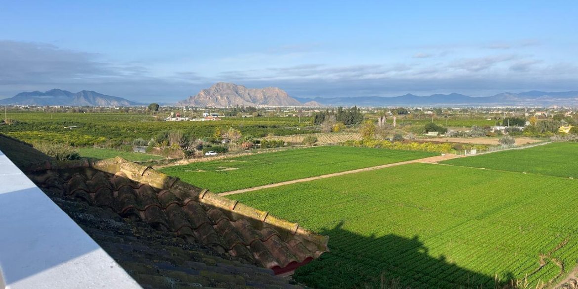 158734-apartment-for-sale-in-algorfa-30818990-large