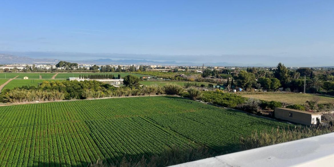 158734-apartment-for-sale-in-algorfa-30818991-large