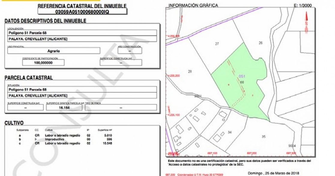 full_1410717_63559204