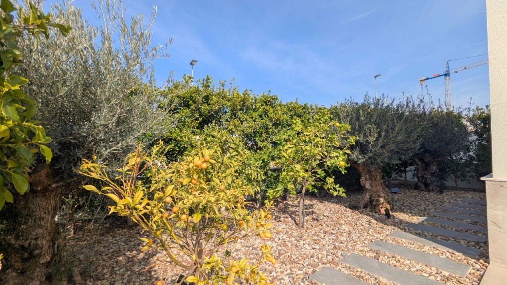 full_1428907_63995210