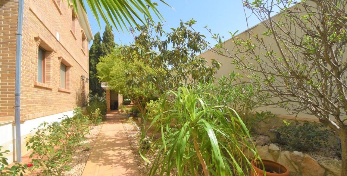 full_1464916_64812001