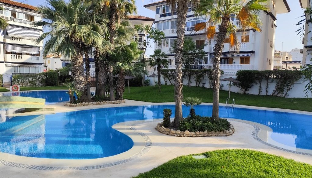 full_1476642_65102324