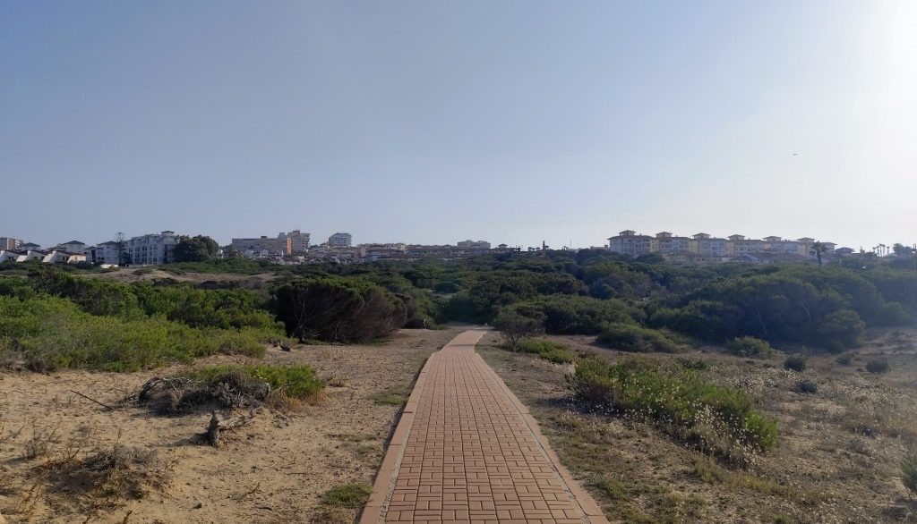 full_1476642_65102326