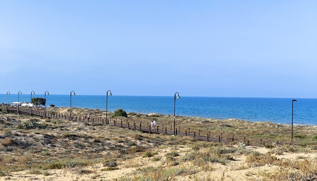 full_1476642_65102327